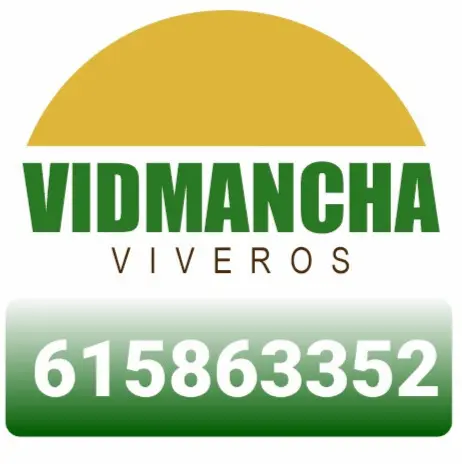 Patrocinador de la Hermandad de San Isidro